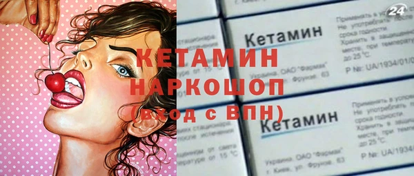 индика Алексин