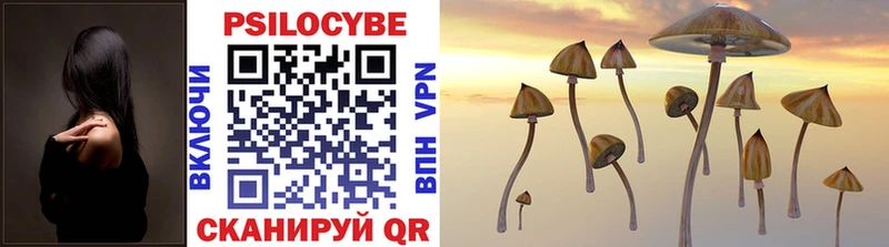 магазин продажи   Устюжна  Псилоцибиновые грибы Cubensis 